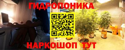 spice Донецк