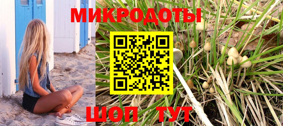 Галлюциногенные грибы Cubensis  закладка  Псилоцибиновые грибы мицелий  Керчь  Вход с VPN 